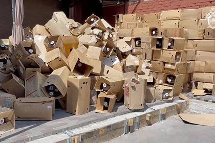 picture: В России попросили установить минимальную цену на сидр