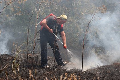 picture: В Крыму вспыхнул крупный ландшафтный пожар