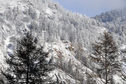 picture: Судмедэксперт описал возможный сценарий обнаружения пропавших Усольцевых