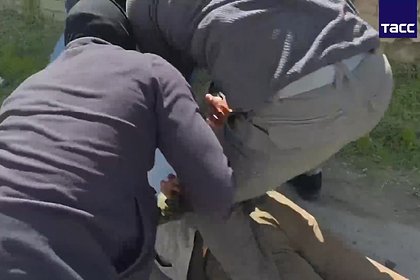 picture: Задержание готовивших теракт мигранта и гражданки Германии показали на видео