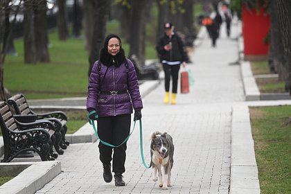 picture: Москвичам предрекли холода до мая