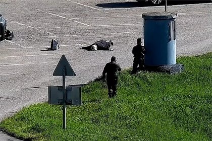 picture: Использовавшаяся для теракта в России немка участвовала в мошеннических схемах